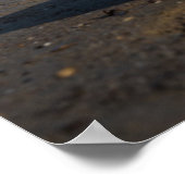 Golden Retriever Dog auf einem Paddelbrett Poster (Ecke)