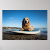 Golden Retriever Dog auf einem Paddelbrett Poster (Vorne)