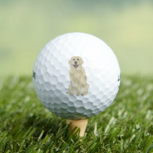 Golden Retriever Dog Golfball (Insitu T-Shirt)