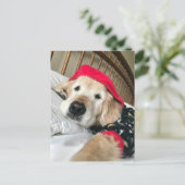 Golden Retriever Dog in Pajamas wird gut Postkarte (Stehend Vorderseite)