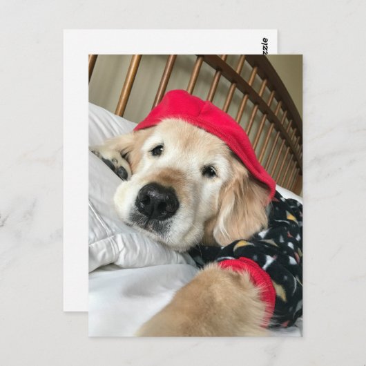 Golden Retriever Dog in Pajamas wird gut Postkarte (Vorne/Hinten)