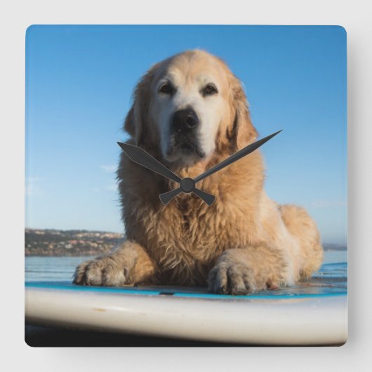 Golden Retriever Dog Laying On A Paddle Board Quadratische Wanduhr (Vorderseite)