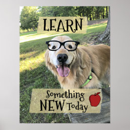 Golden Retriever Dog lernen etwas Neues Klassenzim Poster
