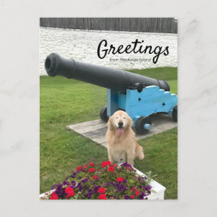 Golden Retriever Dog Mackinac Insel Reisen Postkarte