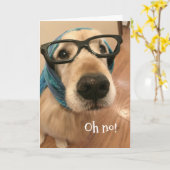 Golden Retriever Dog mit Brille wird bald gut Karte (Gelbe Blume)