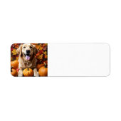 Golden Retriever Dog mit Pumpkins & Blätter Label (Vorne)