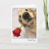 Golden Retriever Dog mit Rote Rose Danke (Vorderseite)