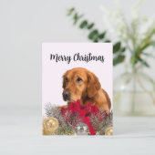 Golden Retriever Dog mit Weihnachtsschmuck Postkarte (Stehend Vorderseite)
