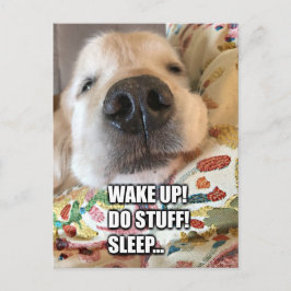 Golden Retriever Dog Motivierend Meme Postkarte