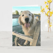Golden Retriever Dog on a Dock Denken Sie an Sie Karte (Gelbe Blume)