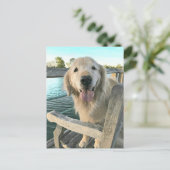 Golden Retriever Dog on a Dock Denken Sie an Sie Postkarte (Stehend Vorderseite)
