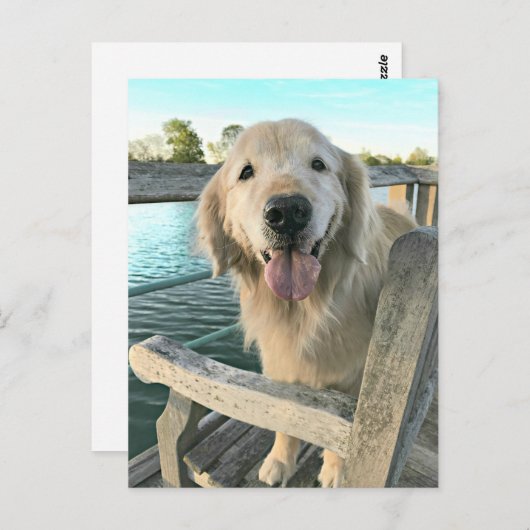 Golden Retriever Dog on a Dock Denken Sie an Sie Postkarte (Vorne/Hinten)
