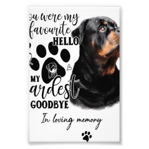 Golden Retriever Dog Owner Geburtstagsgeschenk Hun Fotodruck