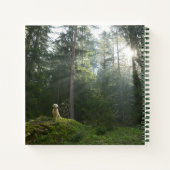 Golden Retriever Dog | Pinienwald Notizblock (Rückseite)