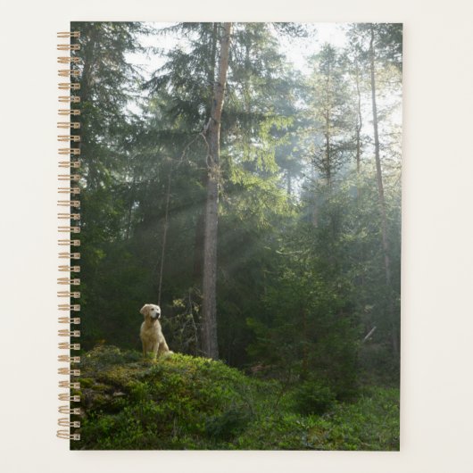 Golden Retriever Dog | Pinienwald Planer (Vorderseite)