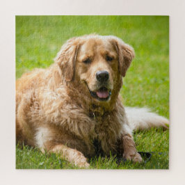 Golden Retriever Dog Puzzle