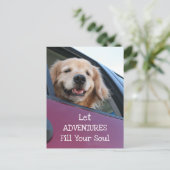 Golden Retriever Dog Safe Travel Adventures Postkarte (Stehend Vorderseite)