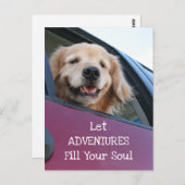 Golden Retriever Dog Safe Travel Adventures Postkarte (Vorne/Hinten)