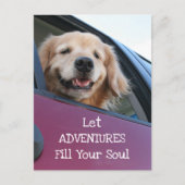 Golden Retriever Dog Safe Travel Adventures Postkarte (Vorderseite)