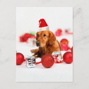Golden Retriever Dog W Rote Weihnachtsmannmütze We Feiertagspostkarte