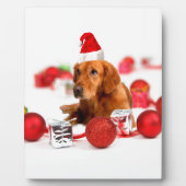 Golden Retriever Dog W Rote Weihnachtsmannmütze We Fotoplatte (Vorderseite)