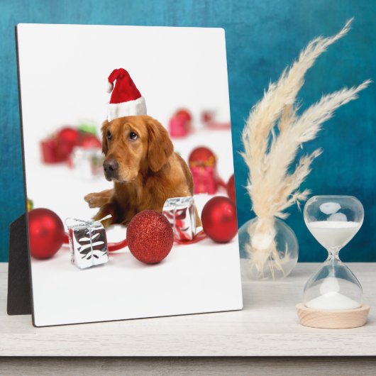 Golden Retriever Dog W Rote Weihnachtsmannmütze We Fotoplatte (Seite)