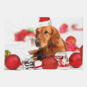 Golden Retriever Dog W Rote Weihnachtsmannmütze We Geschirrtuch