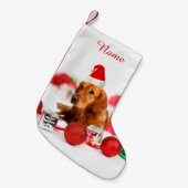 Golden Retriever Dog W Rote Weihnachtsmannmütze We Kleiner Weihnachtsstrumpf (Vorderansicht (hängend))