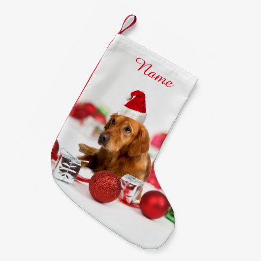 Golden Retriever Dog W Rote Weihnachtsmannmütze We Kleiner Weihnachtsstrumpf (Vorderansicht (hängend))