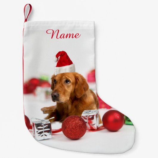 Golden Retriever Dog W Rote Weihnachtsmannmütze We Kleiner Weihnachtsstrumpf (Vorderseite)