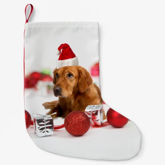 Golden Retriever Dog W Rote Weihnachtsmannmütze We Kleiner Weihnachtsstrumpf (Vorderseite)