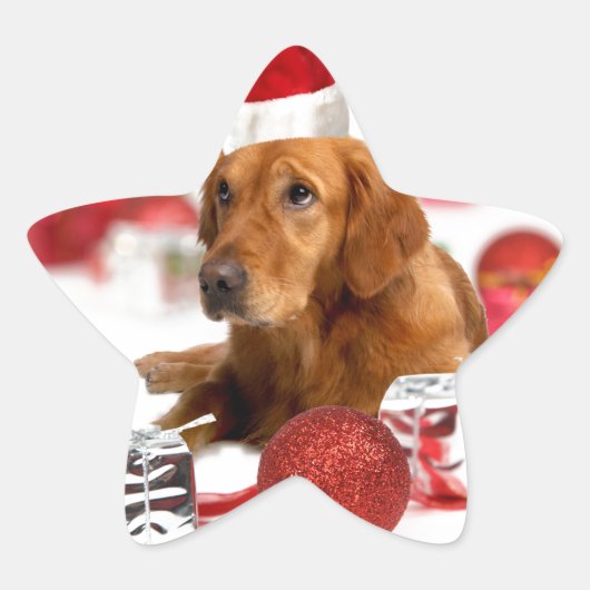 Golden Retriever Dog W Rote Weihnachtsmannmütze We Stern-Aufkleber (Vorderseite)