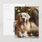 Golden Retriever Dog Weihnachten Postkarte (Vorne/Hinten)