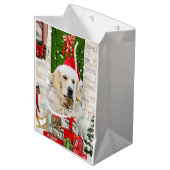Golden Retriever Dog Weihnachtsgeschenk Tasche Mittlere Geschenktüte (Vorderseite Schrägansicht)