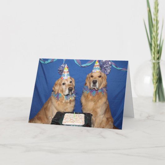 Golden Retriever Doggone Geburtstag Karte (Vorderseite)