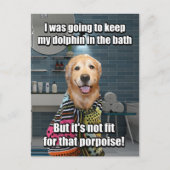 Golden Retriever Dolphin Wilhelm Tell Postkarte (Vorderseite)