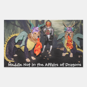 Golden Retriever Dragons Medaille nicht Rechteckiger Aufkleber