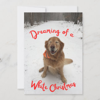 Golden Retriever Dreaming of White Christmas Feiertagskarte