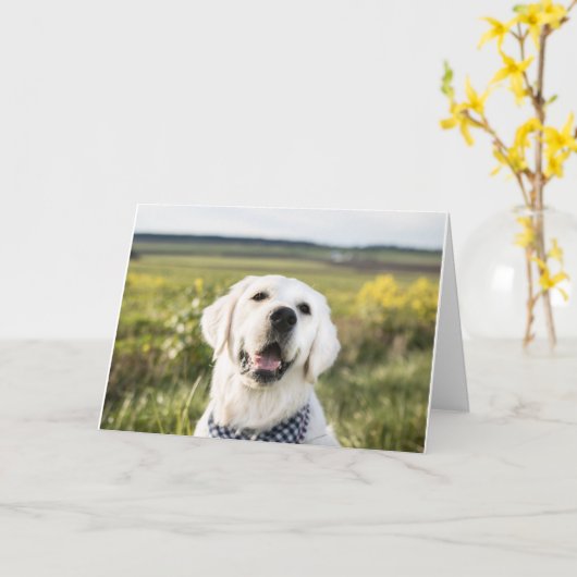 Golden Retriever "Du bringst mich zum Lächeln" Gru Karte (Gelbe Blume)