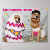 Golden Retriever Eggstranormale Ostersonne Poster (Vorne)