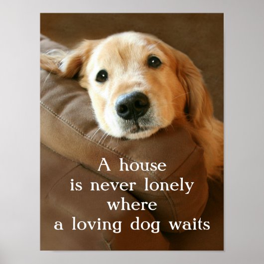 Golden Retriever ein Haus ist nie einsam Poster (Vorne)