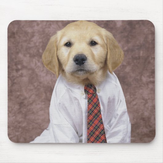 Golden Retriever, ein relativ moderner und Mousepad (Vorne)