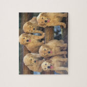Golden Retriever, ein relativ moderner und Puzzle (Vertikal)