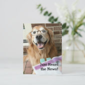 Golden Retriever einfach nur die News-Glückwunsch  Postkarte (Stehend Vorderseite)