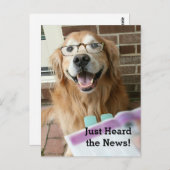 Golden Retriever einfach nur die News-Glückwunsch Postkarte (Vorne/Hinten)