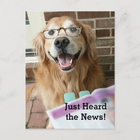 Golden Retriever einfach nur die News-Glückwunsch Postkarte (Vorderseite)