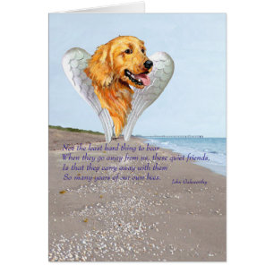 Golden Retriever Engel