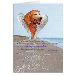 Golden Retriever Engel
