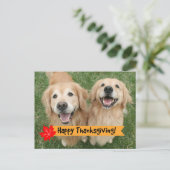 Golden Retriever Erntedank Day wünscht Feiertagspostkarte (Stehend Vorderseite)