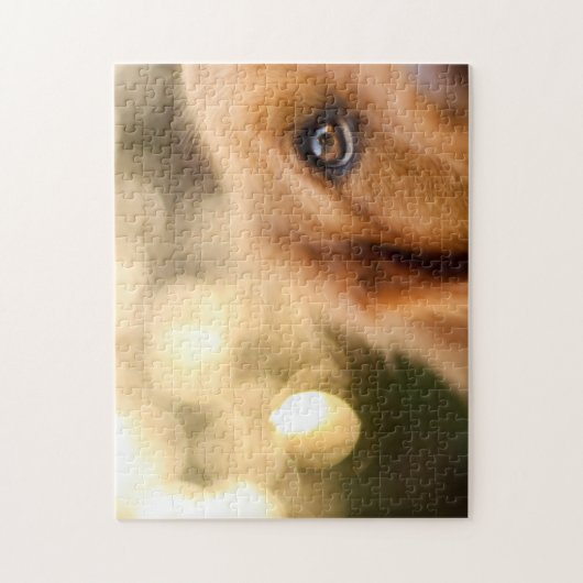 Golden Retriever Eye Closeup Puzzle (Vertikal)